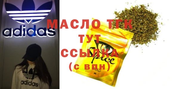 индика Нязепетровск