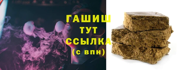 индика Нязепетровск