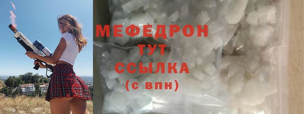 индика Абаза