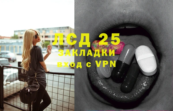 индика Абаза