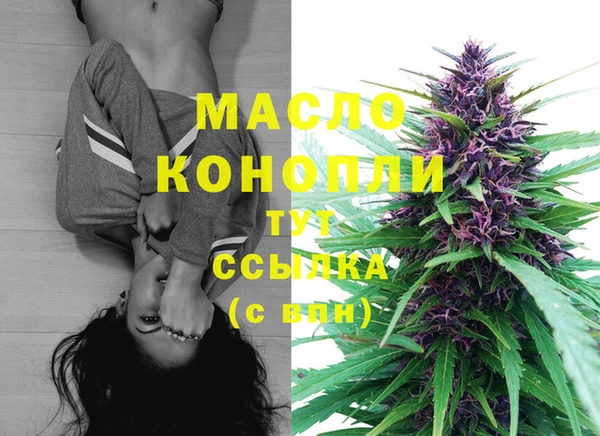 соль ск Няндома