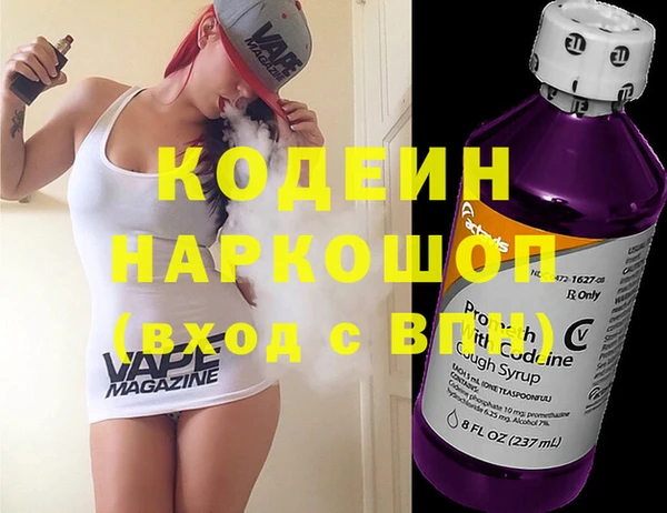 индика Абаза