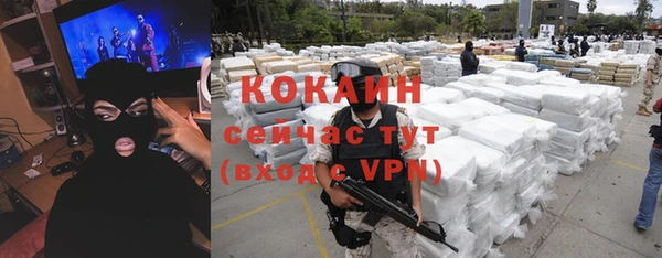 индика Абаза