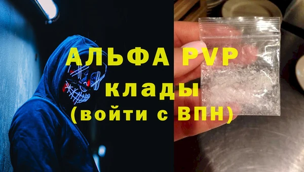 индика Абаза